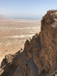 68D1191E-CBC5-450E-94C2-59D80E6BCA6F.jpeg 68D1191E-CBC5-450E-94C2-59D80E6BCA6F.jpeg