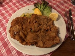 5711F811-16DF-4C73-A51B-FC7F17614EB8.jpeg 5711F811-16DF-4C73-A51B-FC7F17614EB8.jpeg