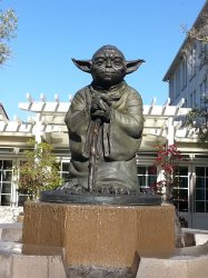 May the 4th.jpg May the 4th.jpg