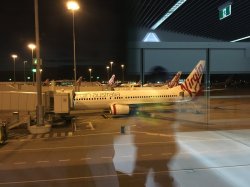 424F8378-DDB3-4AB9-901E-24887B554CB0.jpeg 424F8378-DDB3-4AB9-901E-24887B554CB0.jpeg