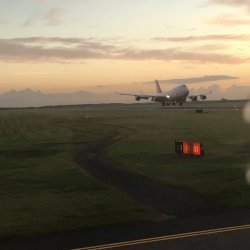 7342EF1B-0A42-4AA9-8143-8A5DEE4F6398.jpeg 7342EF1B-0A42-4AA9-8143-8A5DEE4F6398.jpeg