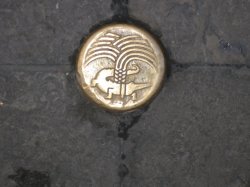 IMG_0164.JPG IMG_0164.JPG