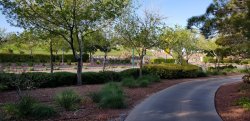 20180418_075116.jpg 20180418_075116.jpg