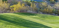 20180418_081230.jpg 20180418_081230.jpg