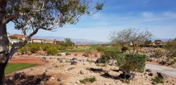 20180418_093345.jpg 20180418_093345.jpg