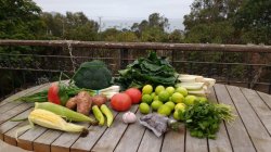 IMG_20180516_110352681.jpg IMG_20180516_110352681.jpg