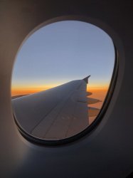 DF0D18B6-1FF0-4B05-BA0D-BFEEF2C70E93.jpeg DF0D18B6-1FF0-4B05-BA0D-BFEEF2C70E93.jpeg