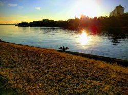 IMG_20180516_164208-EFFECTS.jpg IMG_20180516_164208-EFFECTS.jpg