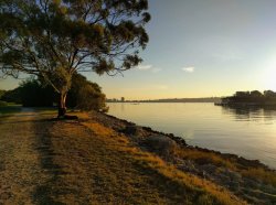 IMG_20180516_164411.jpg IMG_20180516_164411.jpg