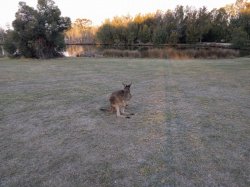 IMG_20180516_170130.jpg IMG_20180516_170130.jpg