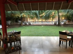 1AC7B57C-F816-4885-8DDC-8D2B6FDC0532.jpeg 1AC7B57C-F816-4885-8DDC-8D2B6FDC0532.jpeg