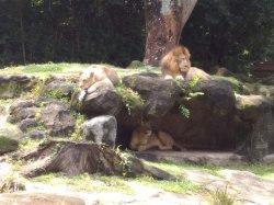 IMG_20180517_114039020.jpg IMG_20180517_114039020.jpg