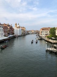 43D6DFC1-4D3C-42B0-8BB6-753BB96D955F.jpeg 43D6DFC1-4D3C-42B0-8BB6-753BB96D955F.jpeg