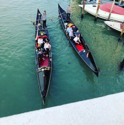 6267366F-1C50-4206-A967-0737B3731A37.jpeg 6267366F-1C50-4206-A967-0737B3731A37.jpeg