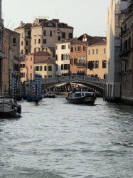 D939CE6D-3482-499E-9A14-FE27441768FD.jpeg D939CE6D-3482-499E-9A14-FE27441768FD.jpeg