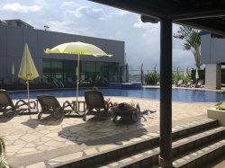 7EE1288F-B8B4-47F3-9EFA-AEED30110F5D.jpeg 7EE1288F-B8B4-47F3-9EFA-AEED30110F5D.jpeg