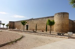 EEFF7EDD-E275-4645-9245-7560521BE68A.jpeg EEFF7EDD-E275-4645-9245-7560521BE68A.jpeg