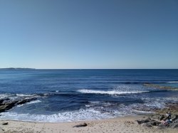 IMAG0901.jpg IMAG0901.jpg