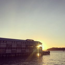 2A076A0A-7262-40AD-BC30-62F521BEB28A.jpeg 2A076A0A-7262-40AD-BC30-62F521BEB28A.jpeg