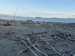 DSC03779.JPG DSC03779.JPG