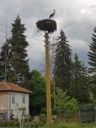 20180514_152847.jpg 20180514_152847.jpg