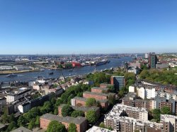 IMG_0739.jpg IMG_0739.jpg