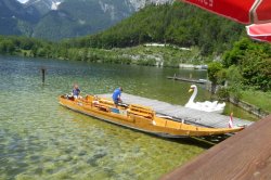 F238C00E-2AA3-44CD-8FA4-B5E517946C17.jpeg F238C00E-2AA3-44CD-8FA4-B5E517946C17.jpeg