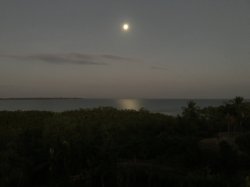 9772A332-F6EA-471F-A306-447CCC1DB1D4.jpeg 9772A332-F6EA-471F-A306-447CCC1DB1D4.jpeg