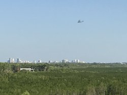 E6E0994F-871D-4E2B-BD52-476CA29EE44B.jpeg E6E0994F-871D-4E2B-BD52-476CA29EE44B.jpeg