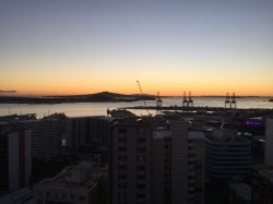 5DE77052-6409-42B4-A745-008D686B15F5.jpeg 5DE77052-6409-42B4-A745-008D686B15F5.jpeg