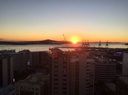 941E7101-7BB5-42E6-A632-2DDA84B87DF3.jpeg 941E7101-7BB5-42E6-A632-2DDA84B87DF3.jpeg