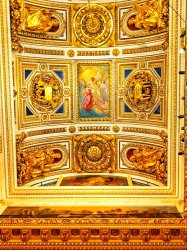 ED767D68-5471-4259-9D58-4BDA9BF13650.jpeg ED767D68-5471-4259-9D58-4BDA9BF13650.jpeg