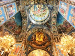 88380F5F-068F-4C07-B038-07FAF8382BB4.jpeg 88380F5F-068F-4C07-B038-07FAF8382BB4.jpeg