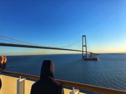 C257D6BE-398D-48B7-B8E8-CAD581254A29.jpeg C257D6BE-398D-48B7-B8E8-CAD581254A29.jpeg