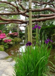 BA041DAF-5C09-4891-B59F-DC6957A97447.jpeg BA041DAF-5C09-4891-B59F-DC6957A97447.jpeg