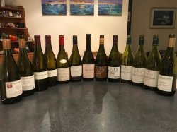 Pinot2010.jpg Pinot2010.jpg