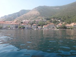 EFEB13F6-0459-40D0-9E94-670506FA457C.jpeg EFEB13F6-0459-40D0-9E94-670506FA457C.jpeg