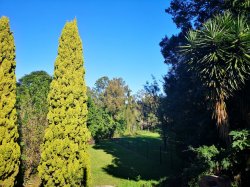 IMG_20180618_102905.jpg IMG_20180618_102905.jpg