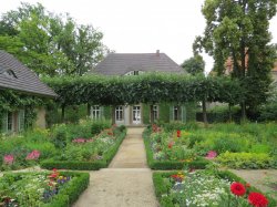 IMG_6669.JPG IMG_6669.JPG