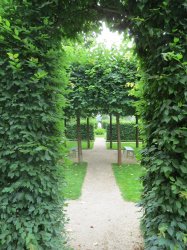 IMG_6671.JPG IMG_6671.JPG