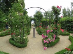 IMG_6673.JPG IMG_6673.JPG