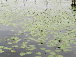 IMG_6676.JPG IMG_6676.JPG