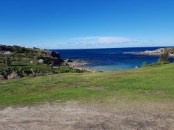 20180617_121523.jpg 20180617_121523.jpg