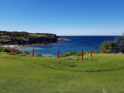 20180617_122059.jpg 20180617_122059.jpg