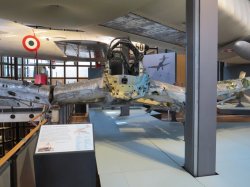 IMG_6703.JPG IMG_6703.JPG