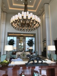 2EB37FF5-B304-4404-A9B0-7ADAAEB83BA7.jpeg 2EB37FF5-B304-4404-A9B0-7ADAAEB83BA7.jpeg