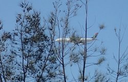 P6230119.JPG P6230119.JPG