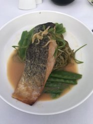 1C5ED4E7-4C16-499E-9DB1-DDF33856A9C2.jpeg 1C5ED4E7-4C16-499E-9DB1-DDF33856A9C2.jpeg