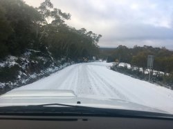 70A31B2D-1436-4BD3-B62E-705BA1C49E70.jpeg 70A31B2D-1436-4BD3-B62E-705BA1C49E70.jpeg