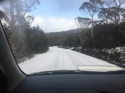 E19A1ADC-0D4A-4CC4-8919-A55BA1F889FE.jpeg E19A1ADC-0D4A-4CC4-8919-A55BA1F889FE.jpeg